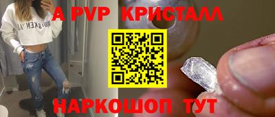 ECSTASY Гай