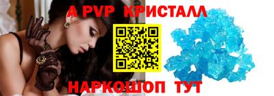 ECSTASY Гай