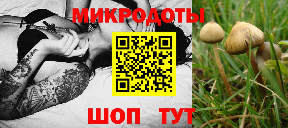 Псилоцибиновые грибы MAGIC MUSHROOMS  Галлюциногенные грибы GOLDEN TEACHER  Вход с VPN  Валуйки 