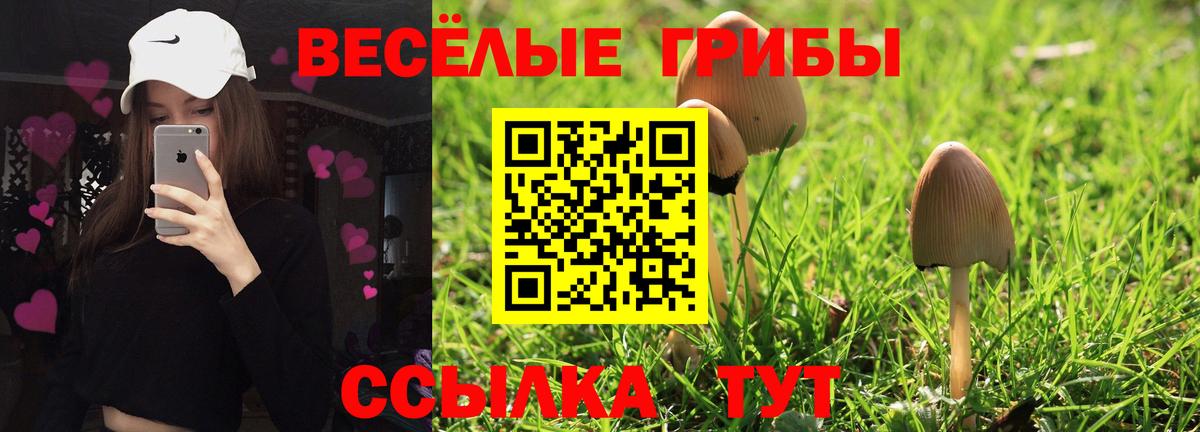 Псилоцибиновые грибы мицелий Валуйки
